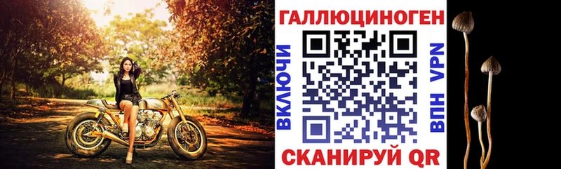 Купить закладки  Морозовск  Псилоцибиновые грибы Psilocybine cubensis 